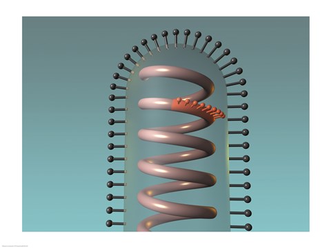 Framed Close-up of antigens produced in the human cell Print