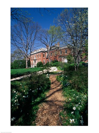 Framed Trees in a garden, Dumbarton Oaks House, Georgetown, Washington DC, USA Print