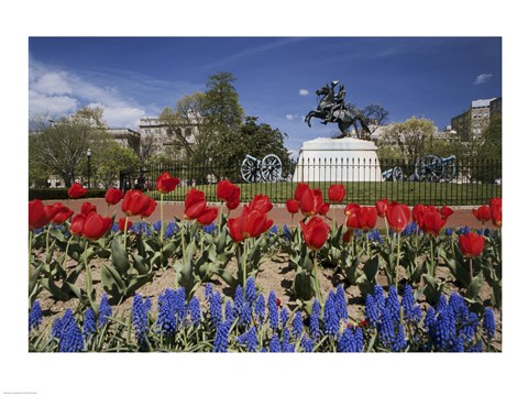 Framed Andrew Jackson Statue, Washington D.C., USA Print