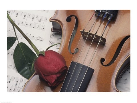 Framed Violin Print