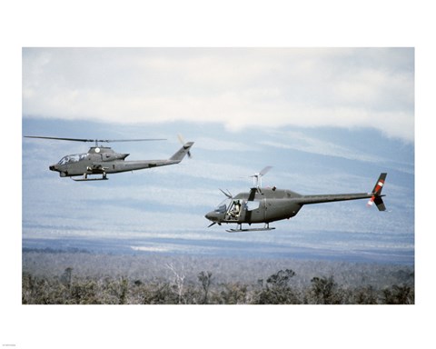 Framed left side view of an AH-1 Cobra helicopter, front, and an OH-58 Kiowa helicopter Print