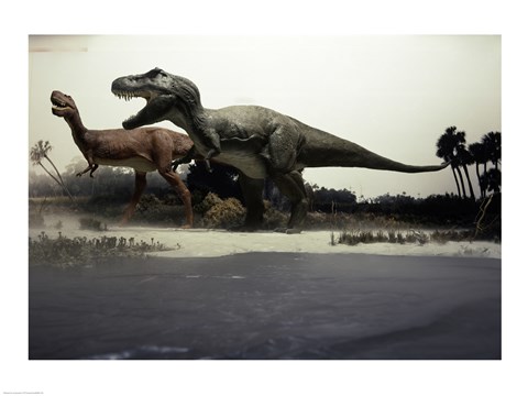 Framed Side profile of a tyrannosaurus rex chasing an albertosaurus Print