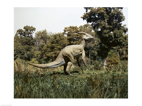 Framed Side profile of a parasaurolophus walking in a forest Print