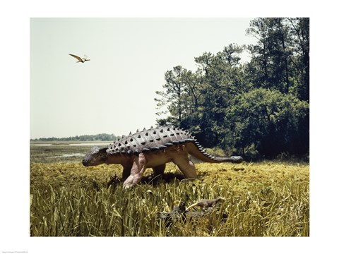 Framed Ankylosaur walking in a field and a pteranodon flying in the sky Print