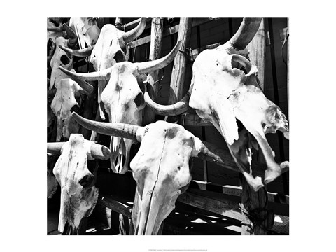 Framed Guardians I Print