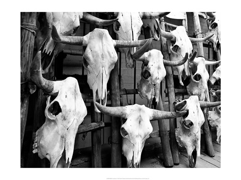 Framed Guardians II Print