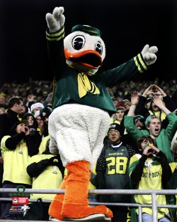Framed Puddles, the University of Oregon Ducks Mascot Print