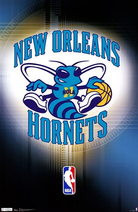 Framed Hornets - Logo 11 Print