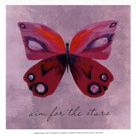 Framed Aim for the stars - mini Print