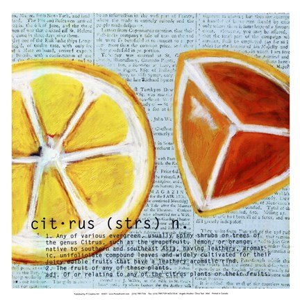 Framed Citrus text - mini Print