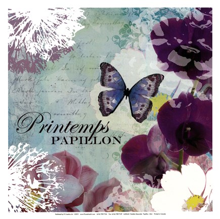 Framed Papillon - mini Print