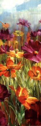 Framed Cosmos in the field III Print