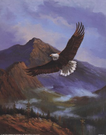 Framed Eagle Gliding Print
