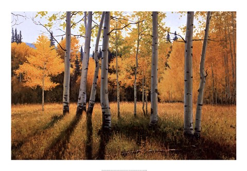 Framed Gentle Rise Print