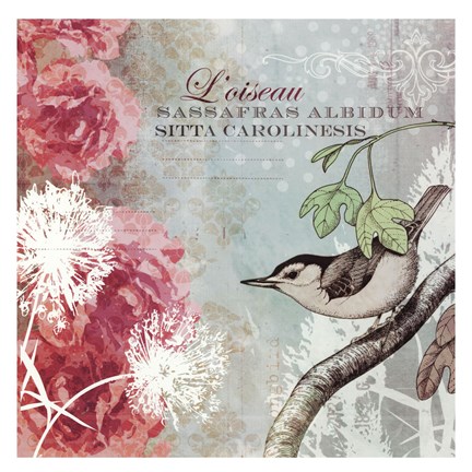 Framed Tiffany Nature I - mini Print