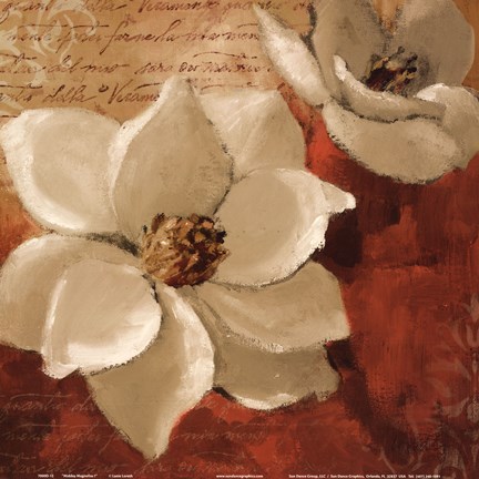 Framed Midday Magnnolias I Print