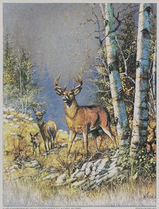 Framed Protecting the Family Print