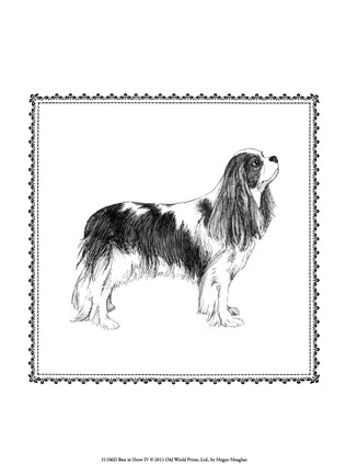 Framed Best in Show IV Print