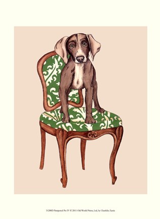 Framed Pampered Pet IV Print