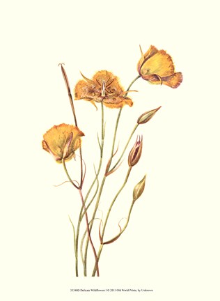 Framed Delicate Wildflowers I Print