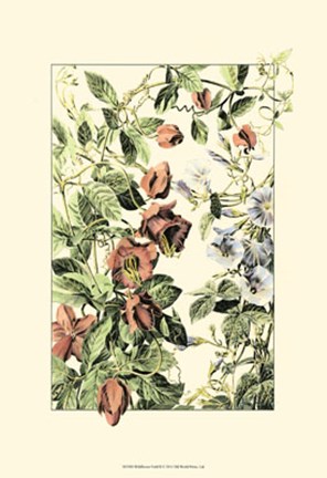 Framed Wildflower Field II Print