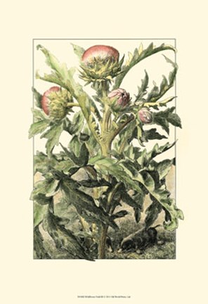 Framed Wildflower Field III Print