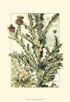 Framed Wildflower Field IV Print