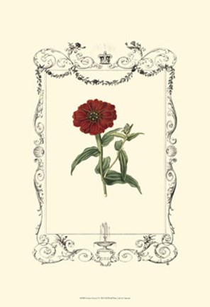 Framed Garden Charm II Print