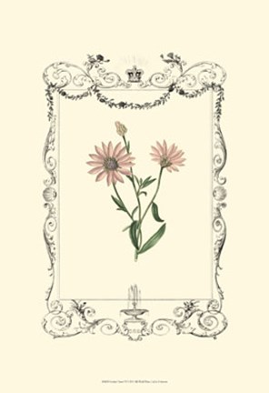 Framed Garden Charm VI Print