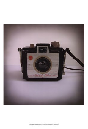 Framed Camera Collection II Print