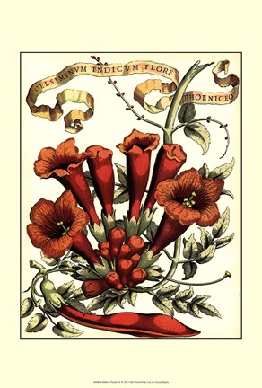 Framed Ribbon Florals IV Print