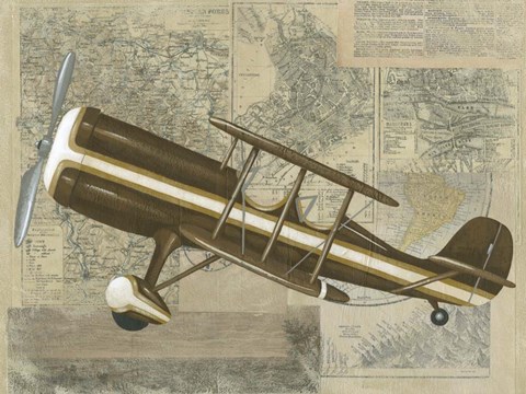 Framed Tour by Plane I Print