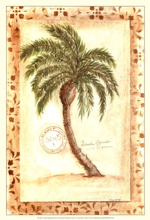 Framed Licuala Grandis Palm Print