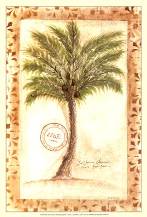 Framed Fan Palm Print