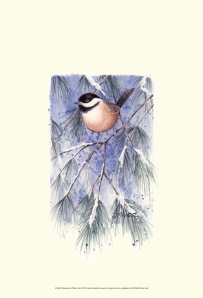 Framed Chickadee in White Pine Print
