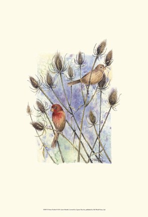 Framed House Finches Print