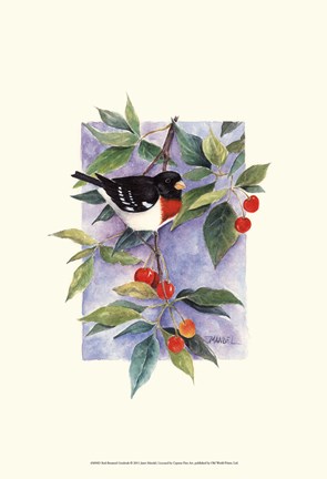 Framed Red-Breasted Grosbeak Print