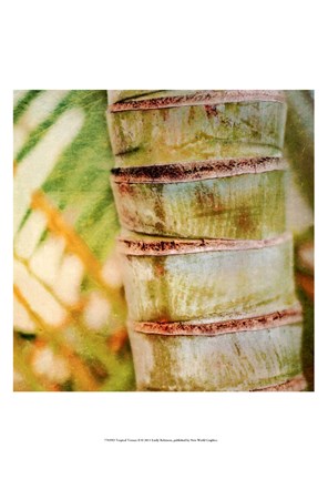 Framed Tropical Texture II Print