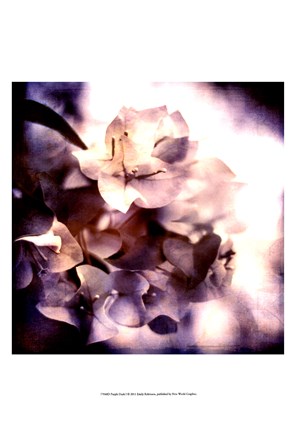 Framed Purple Dusk I Print