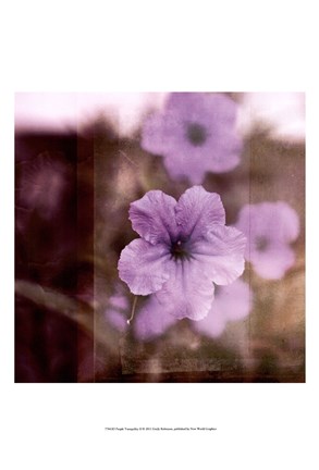 Framed Purple Tranquility II Print