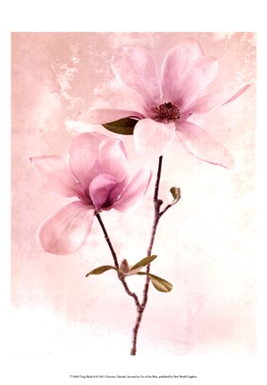 Framed Tulip Blush II Print