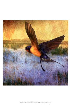 Framed Barnswallow Print