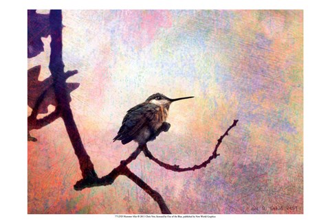 Framed Hummer Mist Print