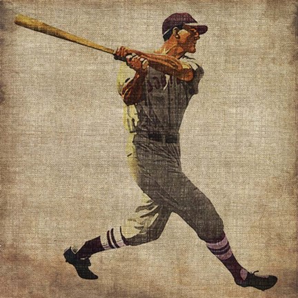 Framed Vintage Sports VI Print