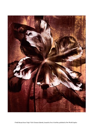 Framed Bronze Parrot Tulip I Print