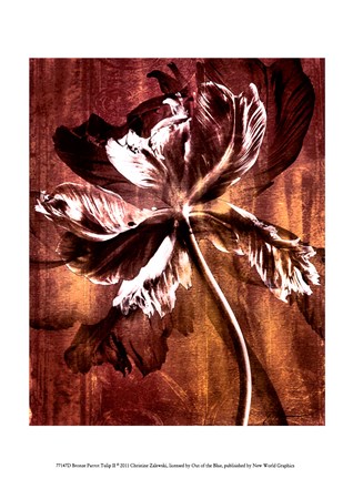 Framed Bronze Parrot Tulip II Print