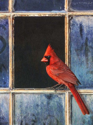 Framed Cardinal Window Print