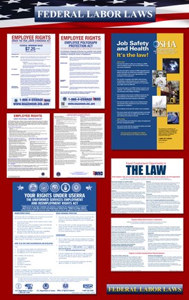 Framed Federal Labor Laws 2012 Print