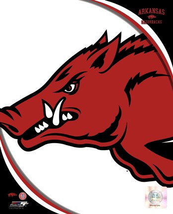 Framed University of Arkansas Razorbacks Team Logo Print