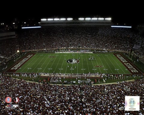 Framed Doak Campbell Stadium Florida State University Seminoles 2011 Print